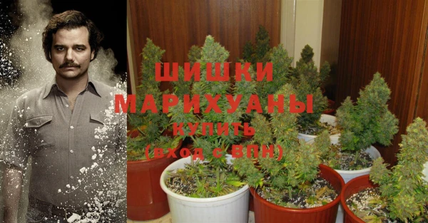 прущая мука Белокуриха
